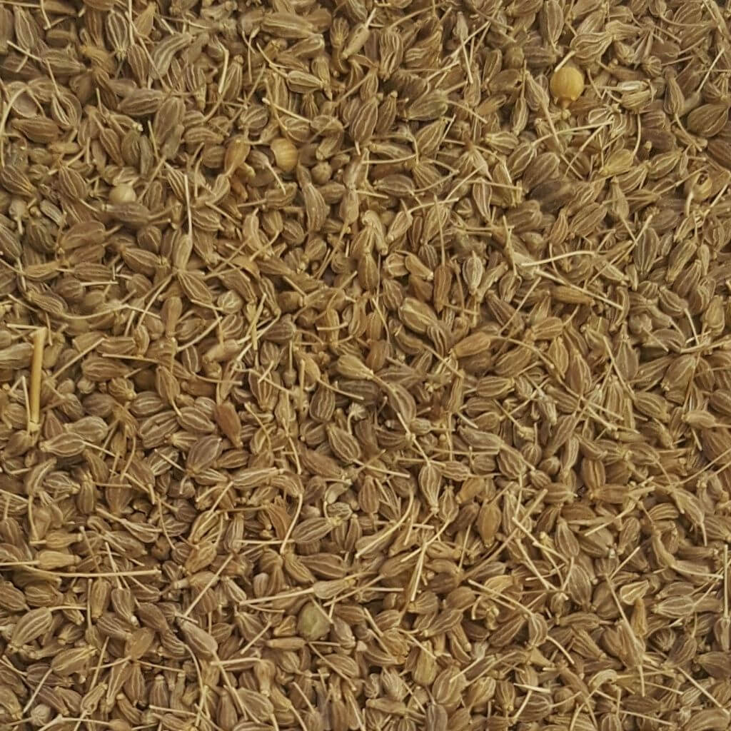 Aniseed