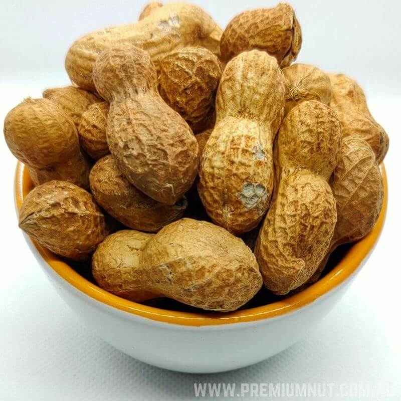 Australian Raw Peanuts in Shell