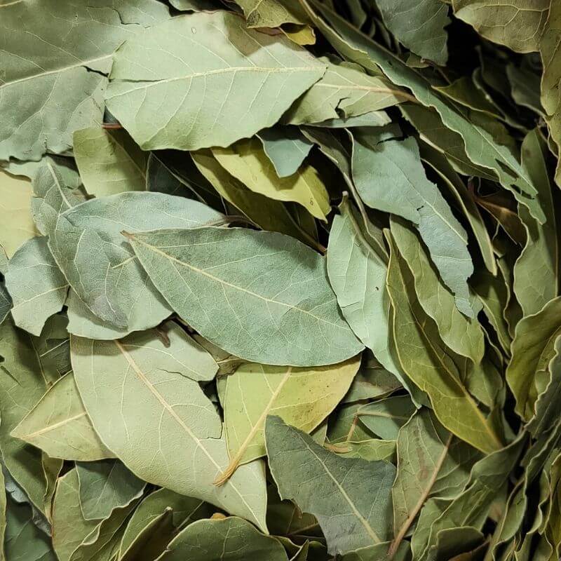 Bay Leaves