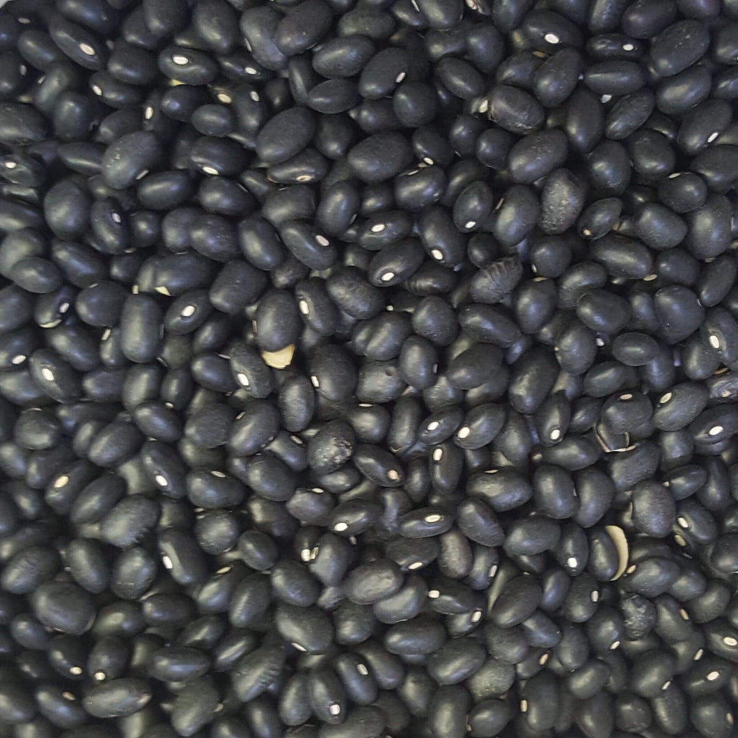 Black Turtle Beans