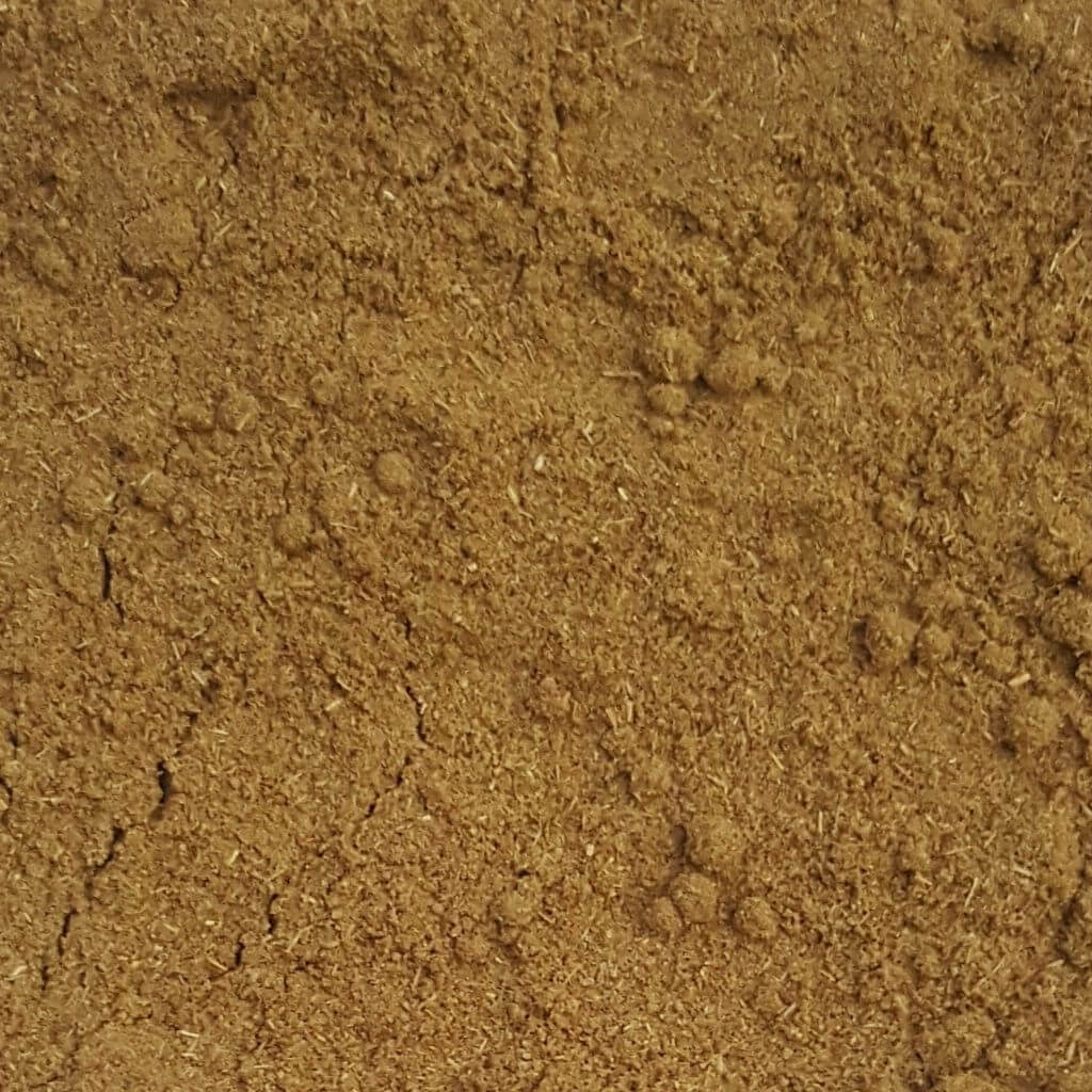 Cumin Powder