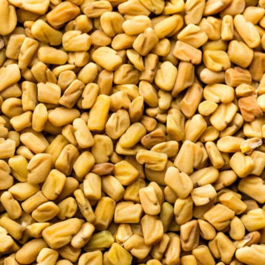 Fenugreek Seed