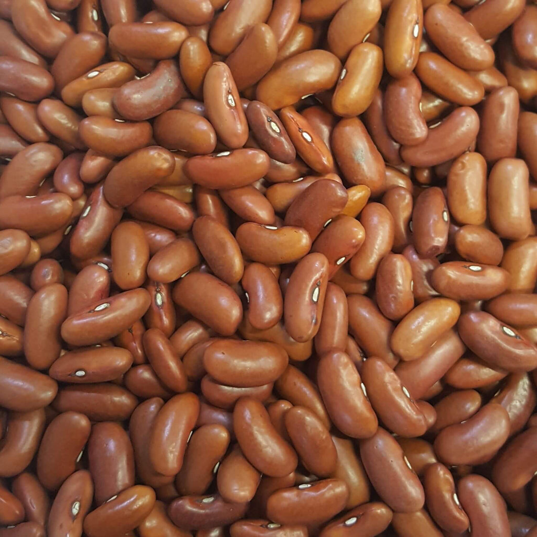 Red Kidney Bean Light