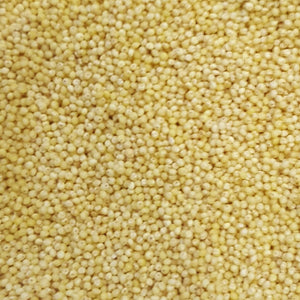 Australian Millet
