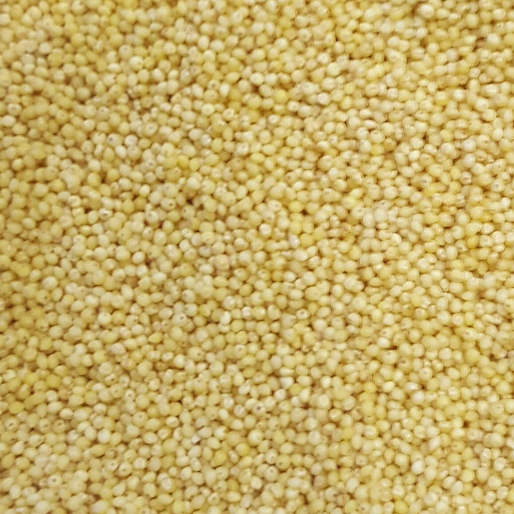 Australian Millet