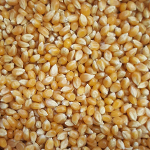 Australian Popping Corn