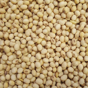 Australian Soy Beans